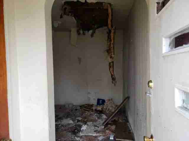 Testing again(32).jpg